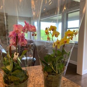 Meet your Posher, Kerry